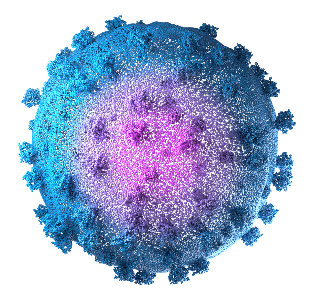 Illustrative image for Mammalian Cells